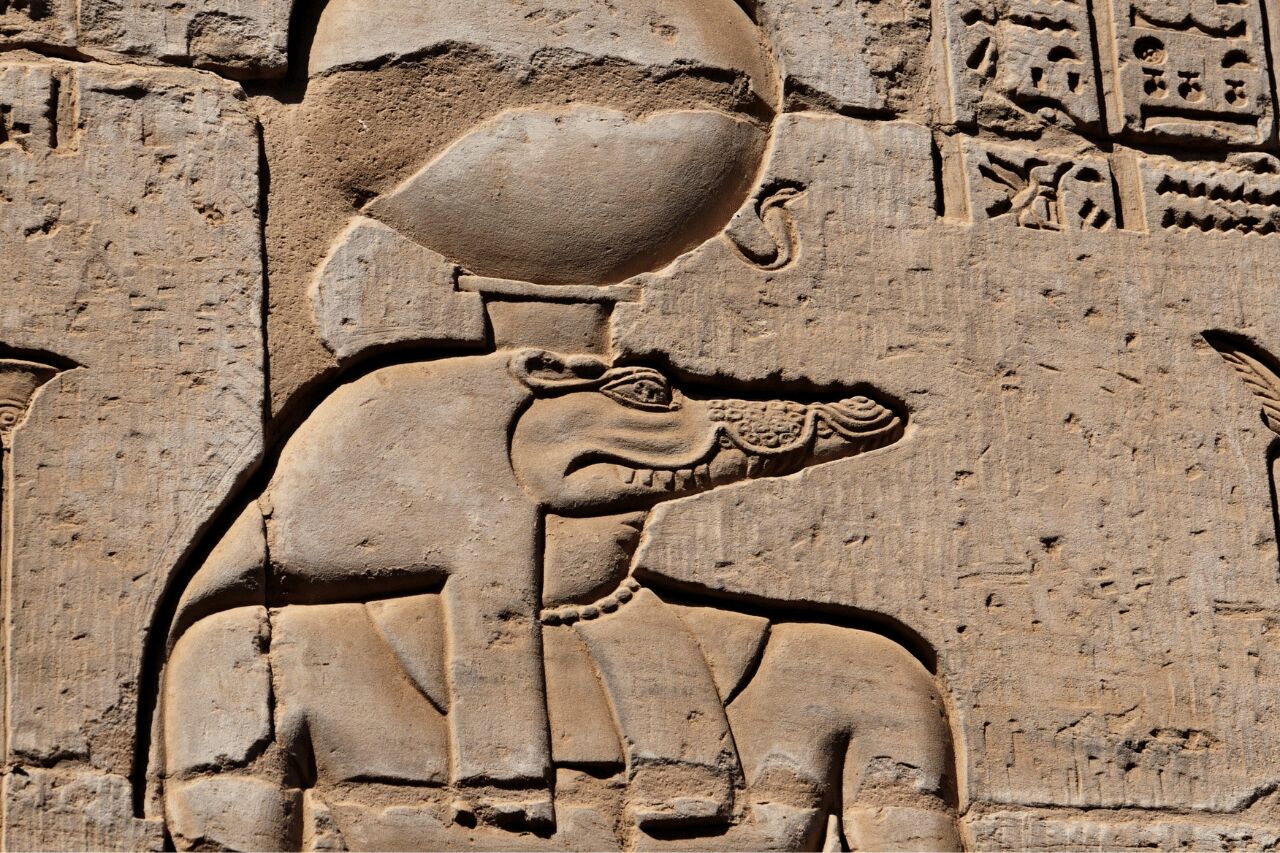 Sobek