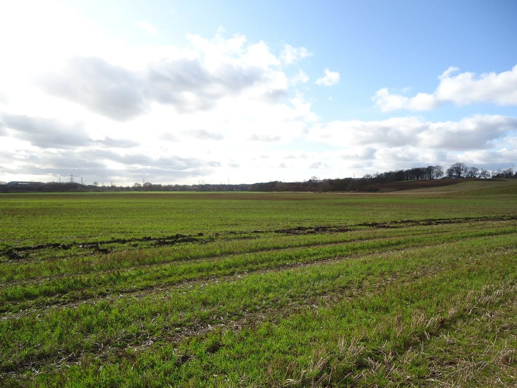 Dunipace flood plain