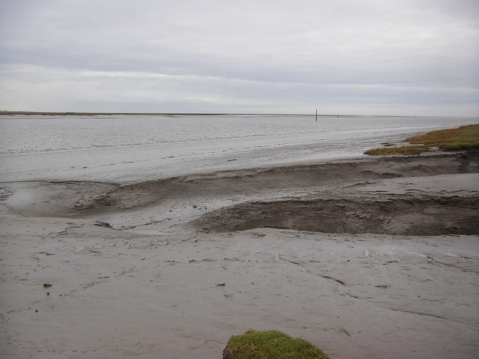 Ribble Estuary