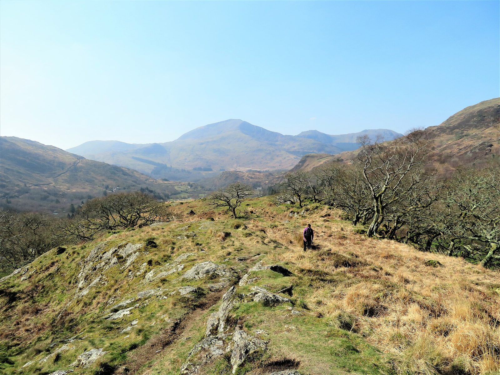 Inside Dinas Emrys
