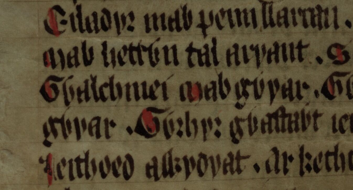 <i>Culhwch and Olwen</i>, folio 203r, showing ‘Gwalchmei mab Gwyar’ in the centre