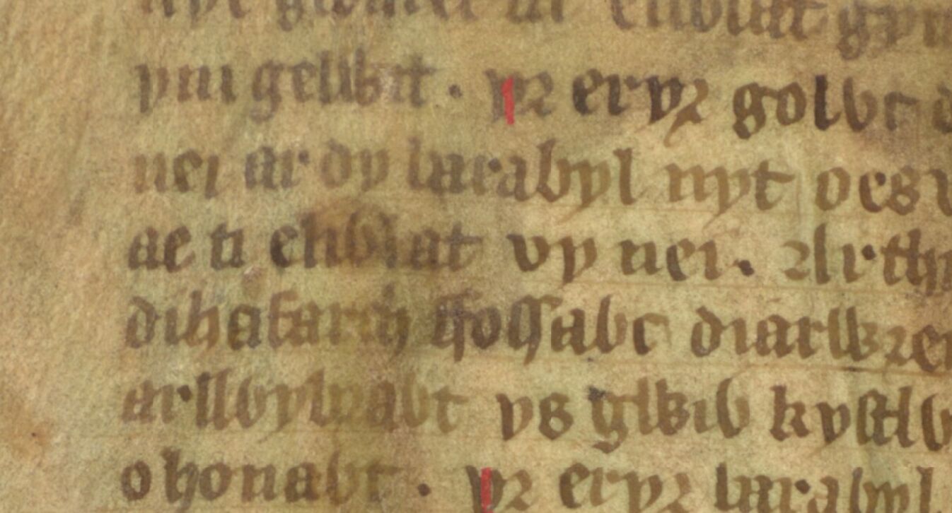 Eliwlod, Nephew of King Arthur