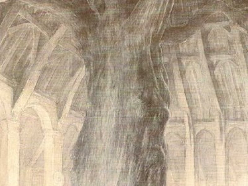 Signy - Norse Mythology